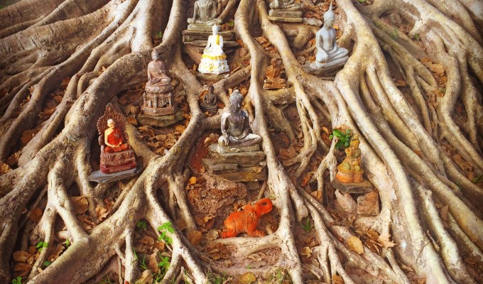 Dusk in the Dawn of&nbsp;Happiness