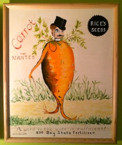 My grandmother recreates old fashioned seed packets in her paintings - this is a favorite