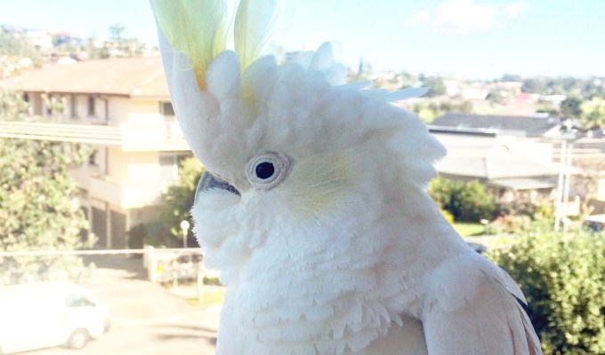 The Art of&nbsp;Touch